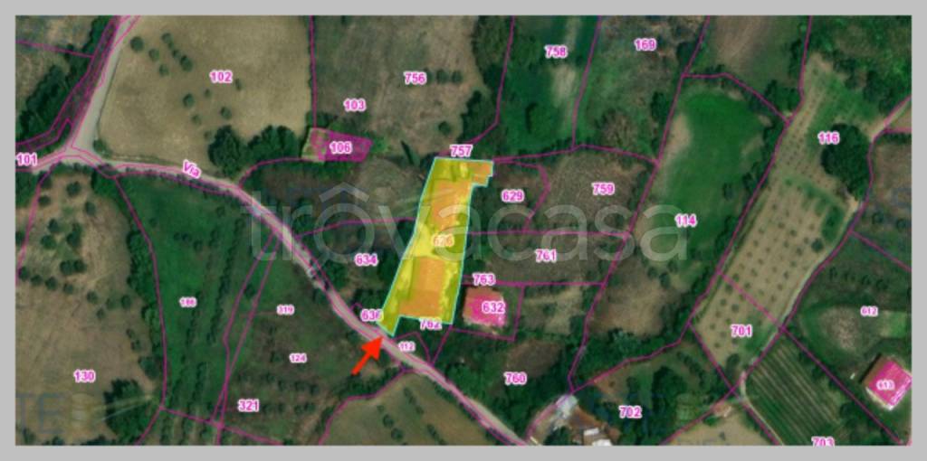 immagine annuncio 10 di 15