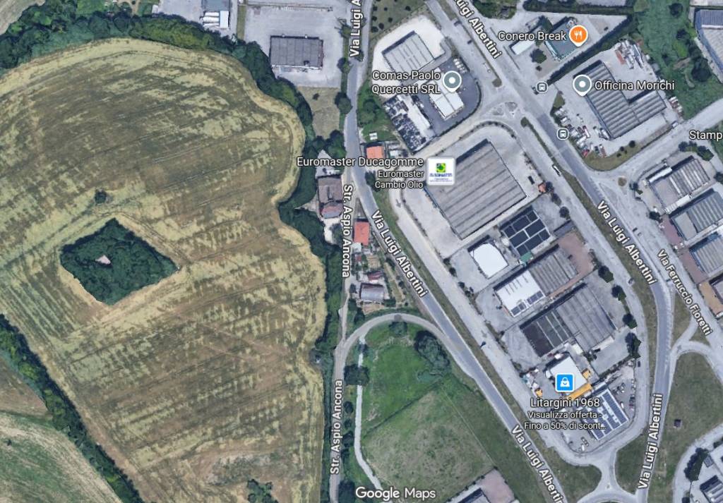 immagine annuncio 3 di 15