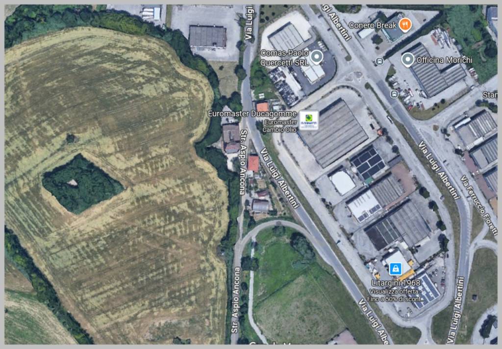 immagine annuncio 12 di 15