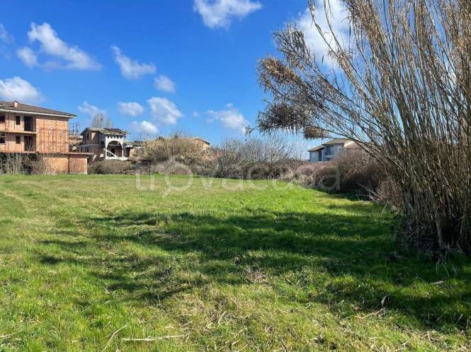 immagine annuncio 3 di 14