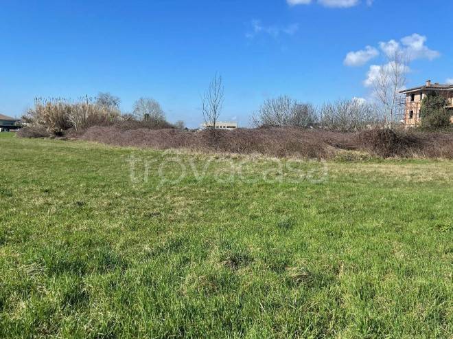 immagine annuncio 6 di 14