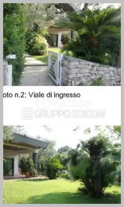 immagine annuncio 11 di 15