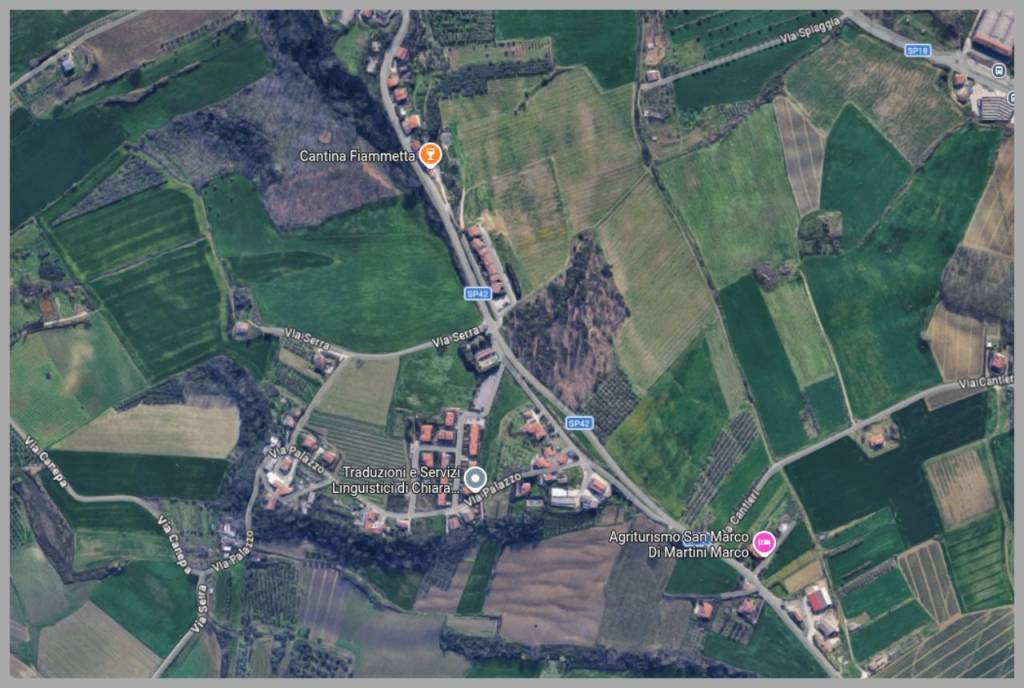 immagine annuncio 9 di 15