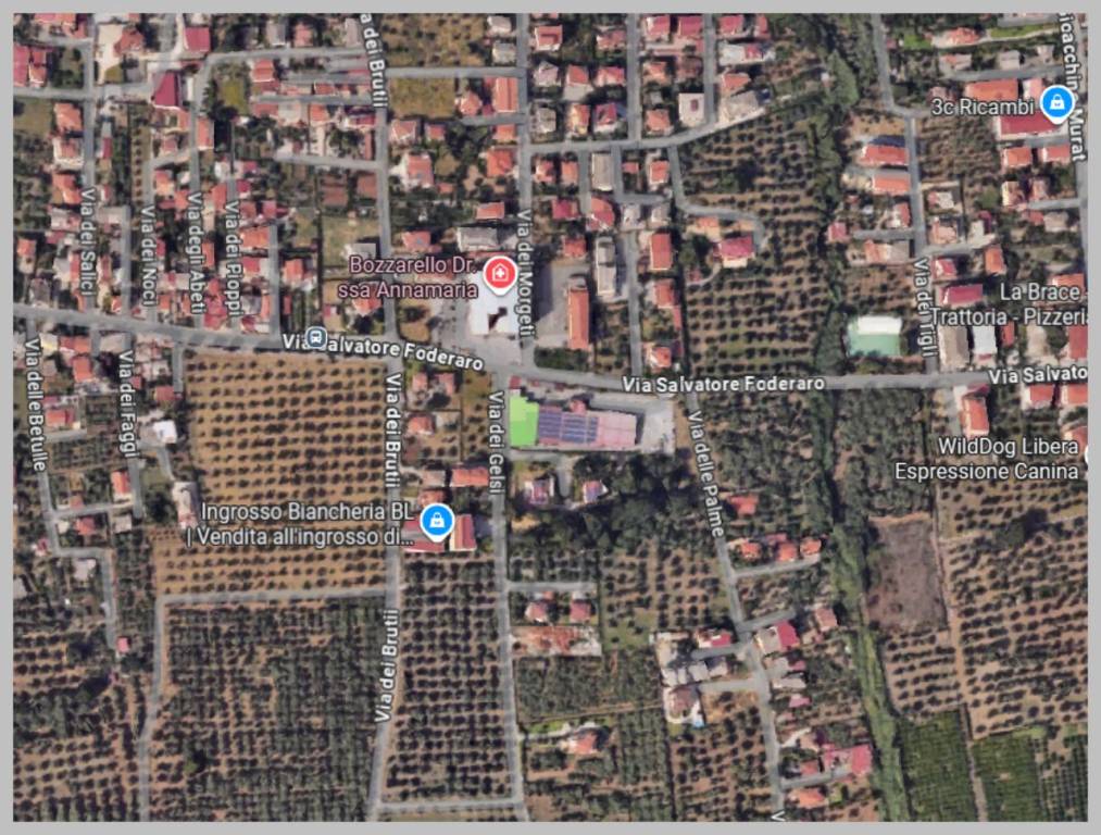 immagine annuncio 5 di 15