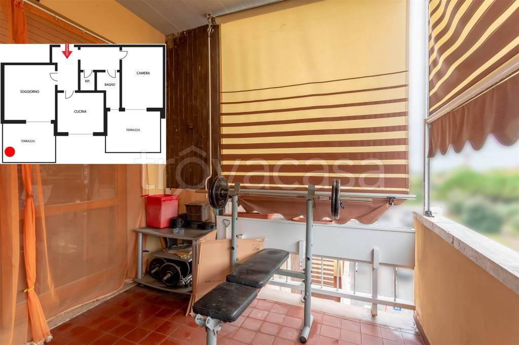 immagine annuncio 3 di 15