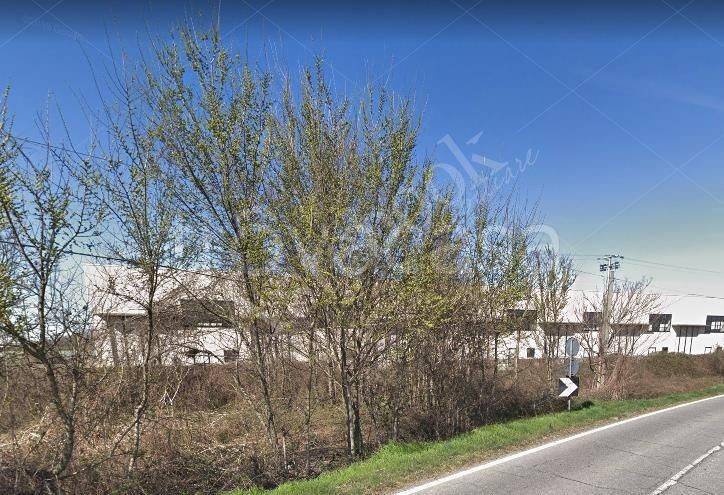 immagine annuncio 1 di 7