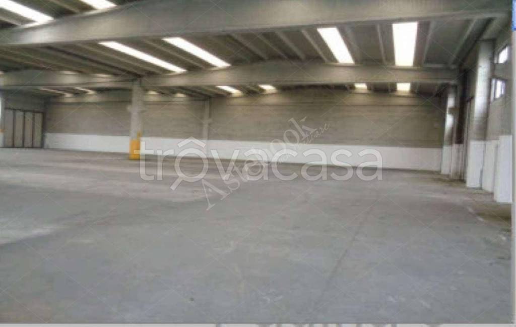 immagine annuncio 5 di 7