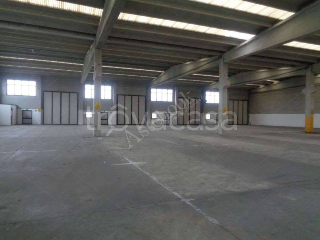 immagine annuncio 6 di 7