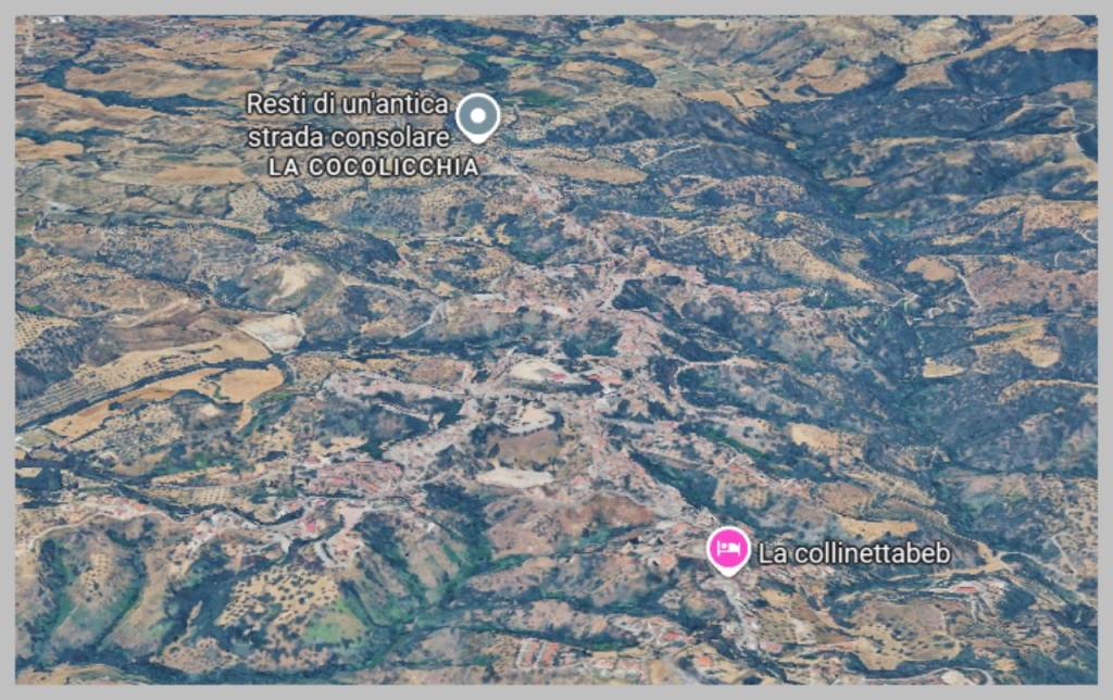 immagine annuncio 11 di 15