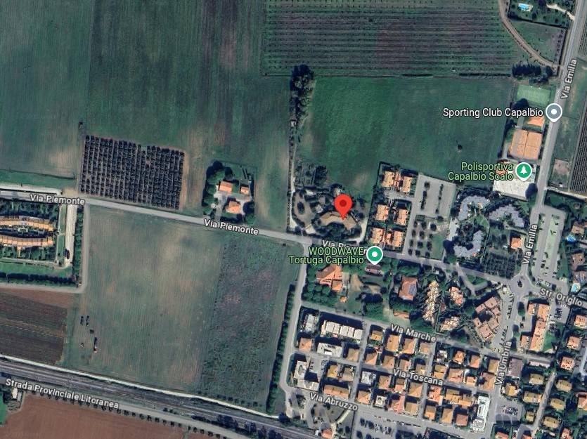 immagine annuncio 2 di 15