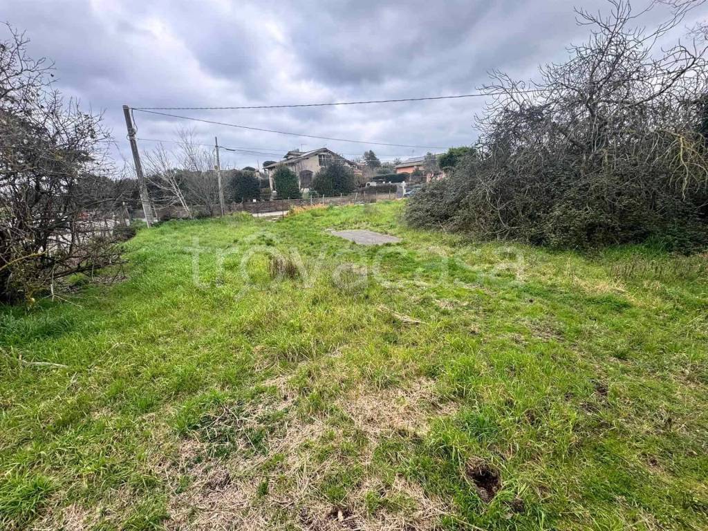 immagine annuncio 2 di 8