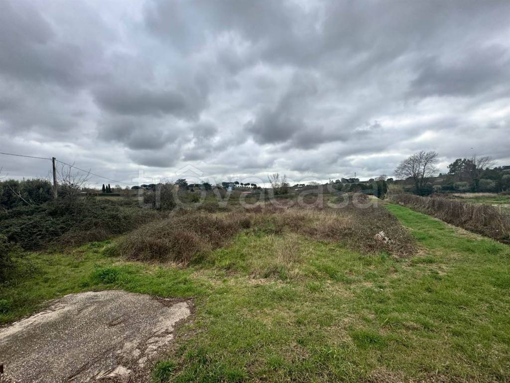 immagine annuncio 3 di 8