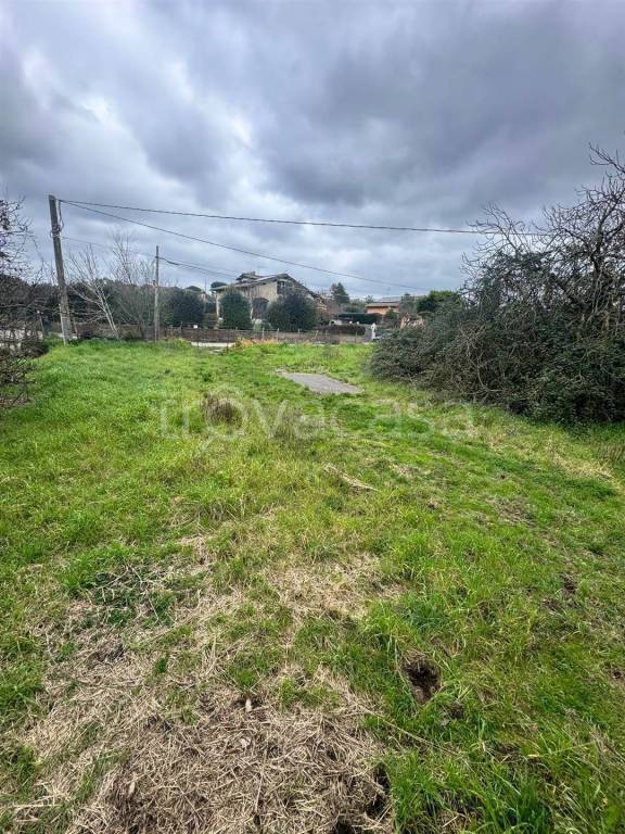 immagine annuncio 4 di 8