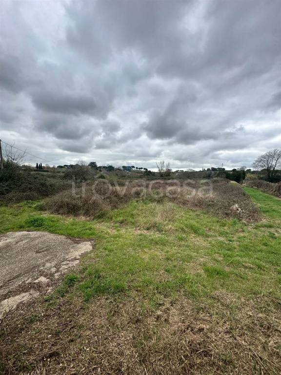 immagine annuncio 5 di 8