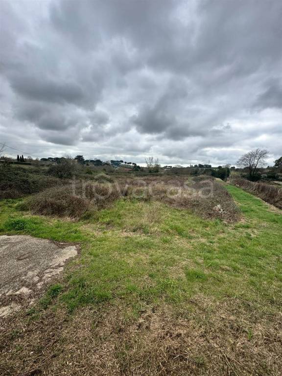 immagine annuncio 6 di 8