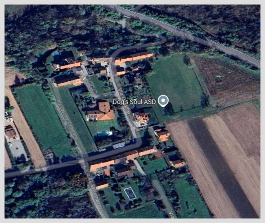 immagine annuncio 10 di 15