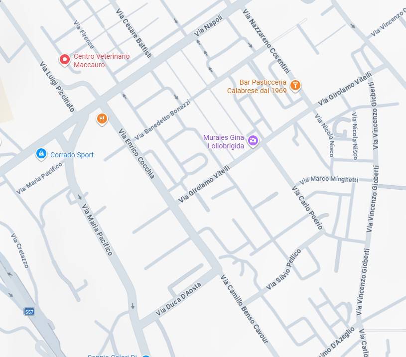 immagine annuncio 3 di 15