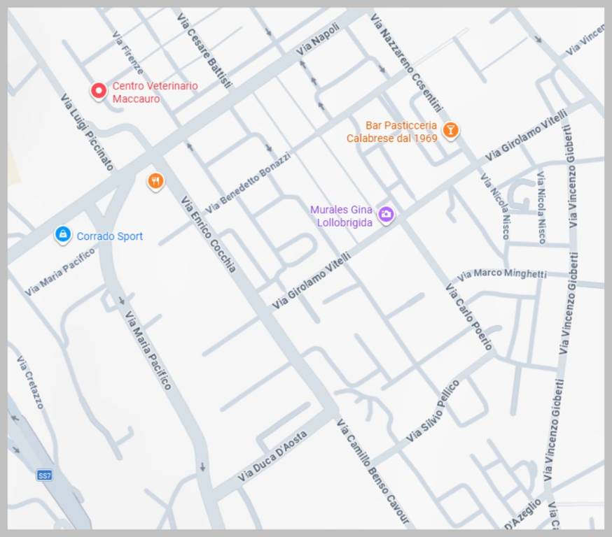 immagine annuncio 5 di 15