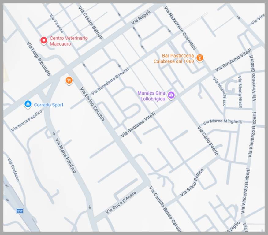 immagine annuncio 7 di 15