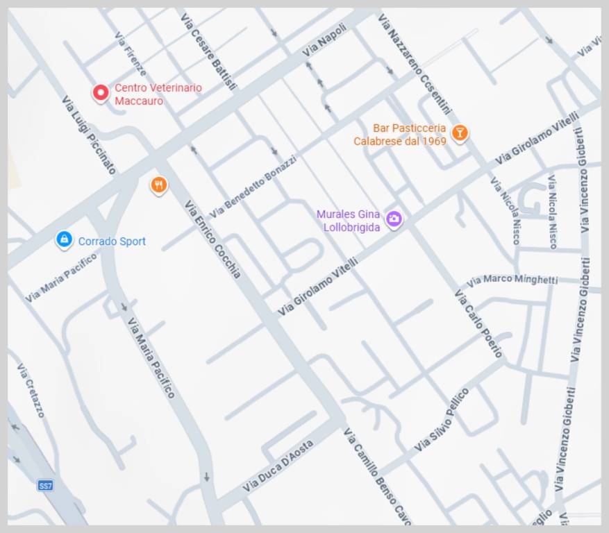 immagine annuncio 9 di 15