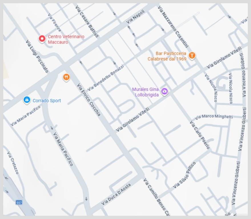 immagine annuncio 11 di 15