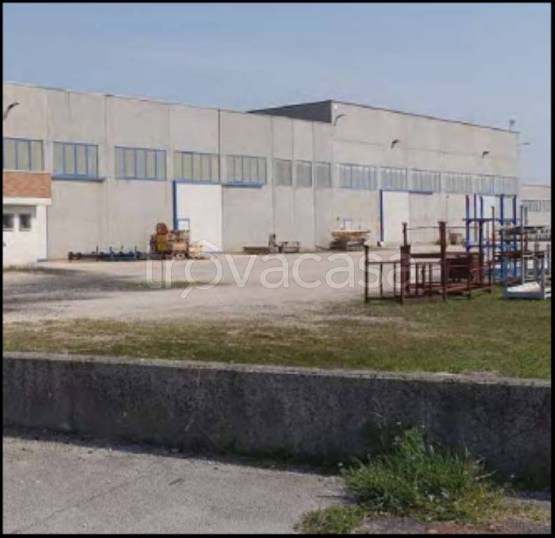 immagine annuncio 2 di 12