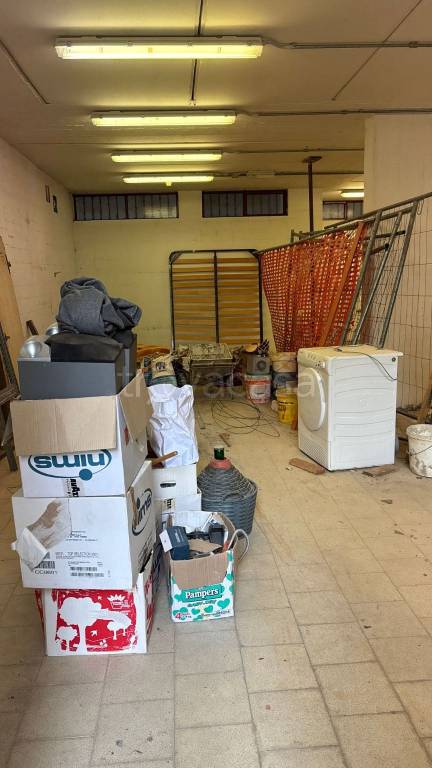 immagine annuncio 3 di 12