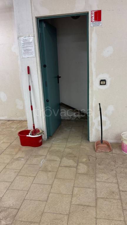 immagine annuncio 5 di 12