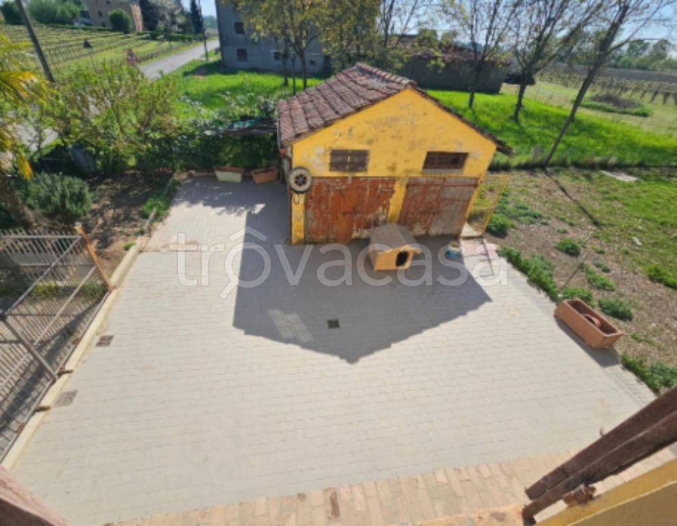 immagine annuncio 5 di 11