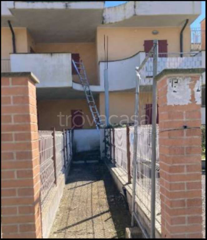 immagine annuncio 1 di 12