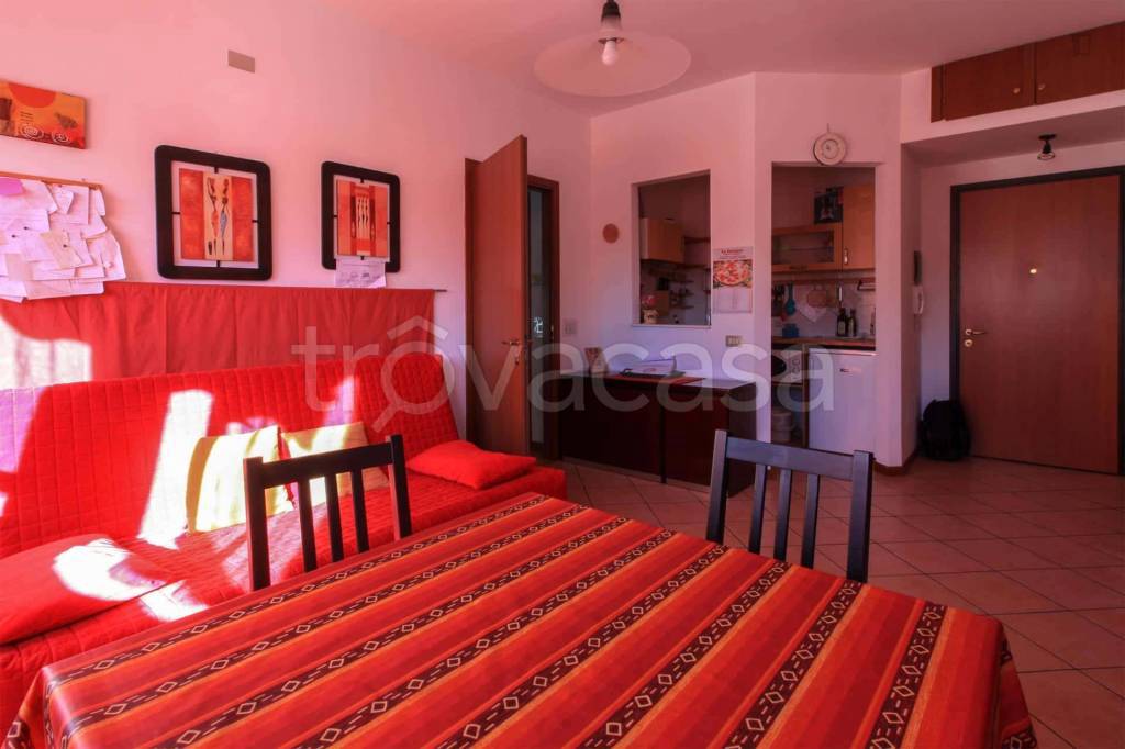 immagine annuncio 8 di 15