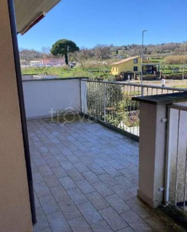 immagine annuncio 2 di 12