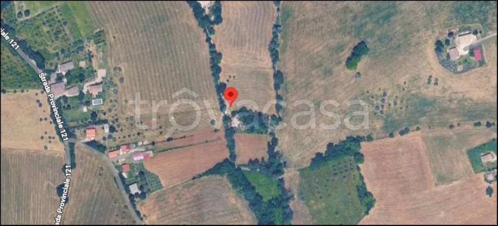 immagine annuncio 11 di 12