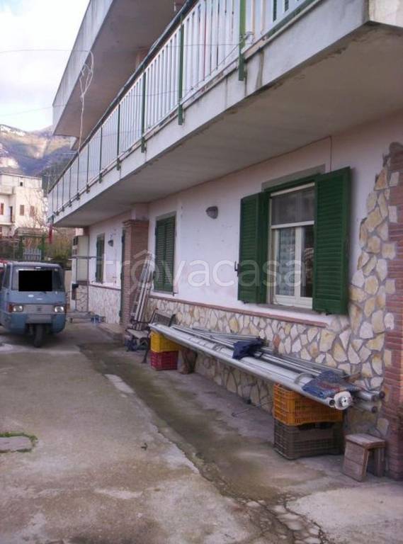 immagine annuncio 2 di 12