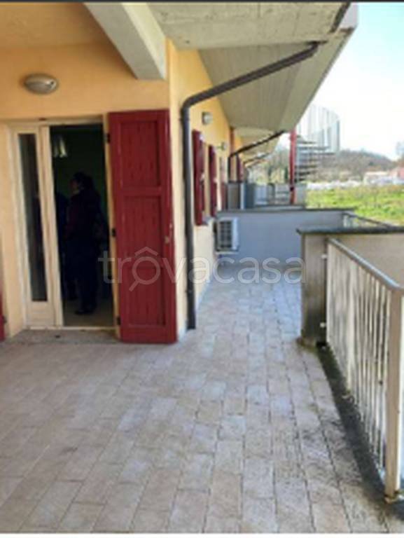 immagine annuncio 7 di 11