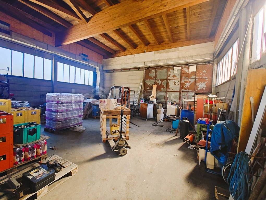 immagine annuncio 5 di 15