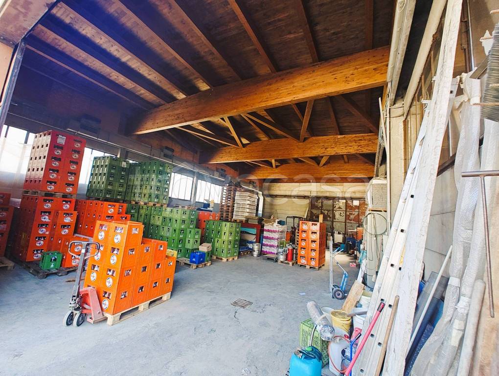 immagine annuncio 8 di 15