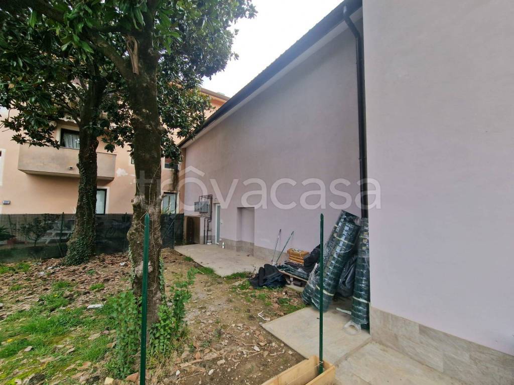 immagine annuncio 2 di 12