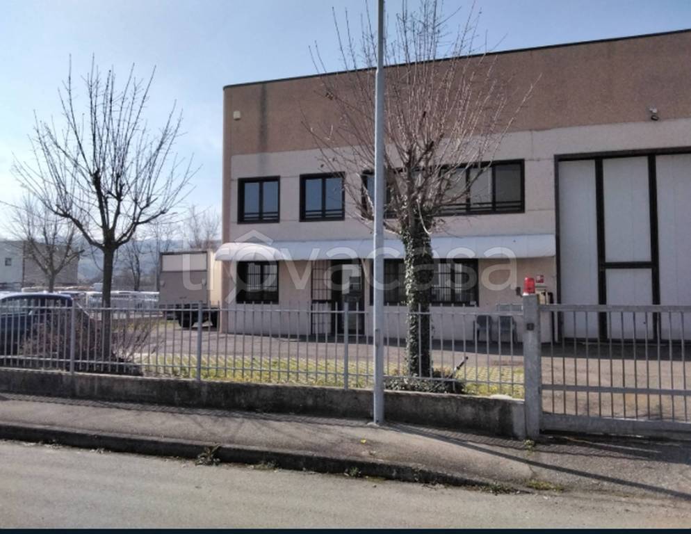 immagine annuncio 2 di 11