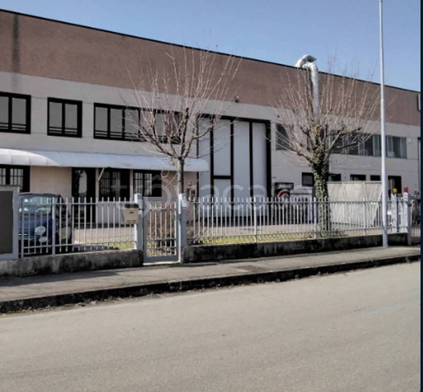 immagine annuncio 3 di 11