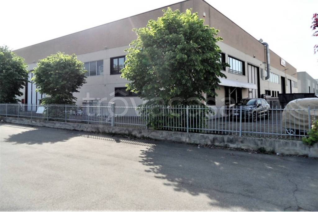 immagine annuncio 4 di 11