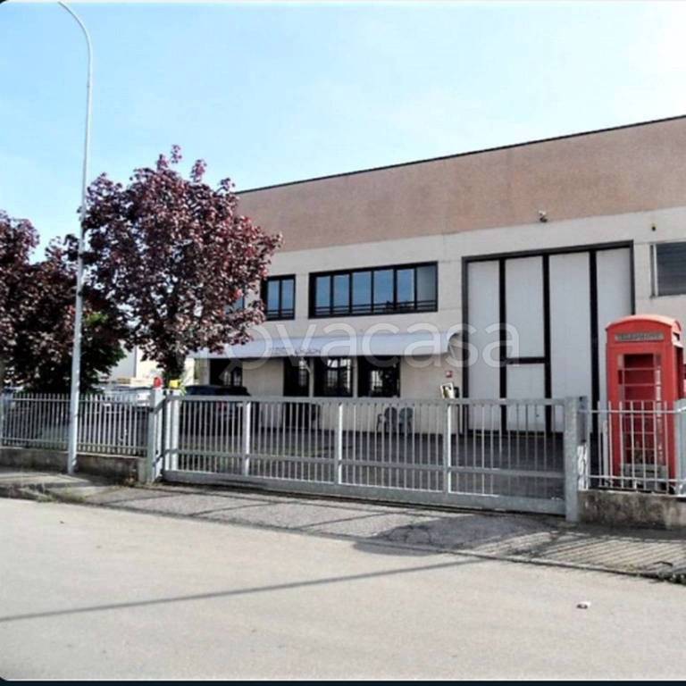 immagine annuncio 5 di 11