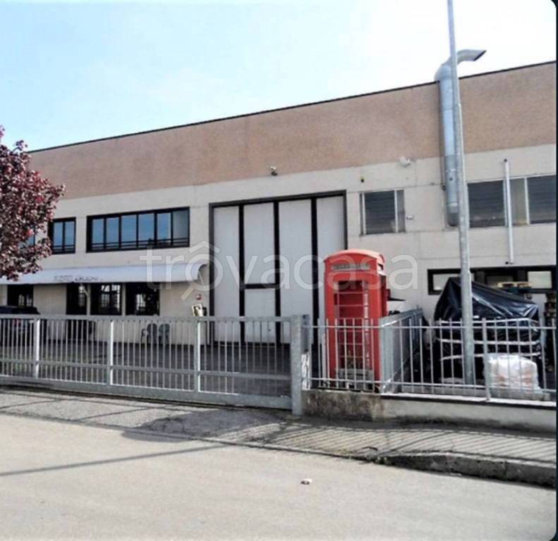 immagine annuncio 6 di 11