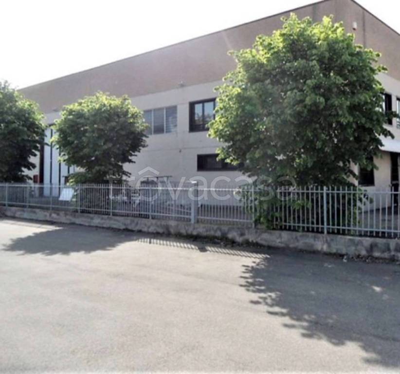 immagine annuncio 7 di 11