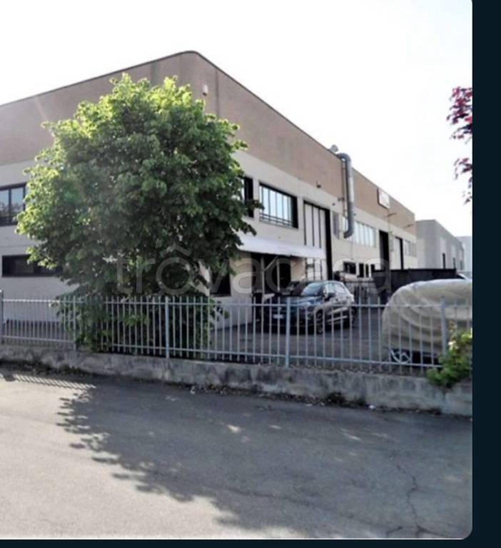 immagine annuncio 8 di 11