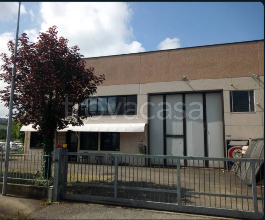 immagine annuncio 9 di 11