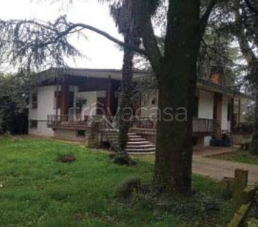 immagine annuncio 2 di 11