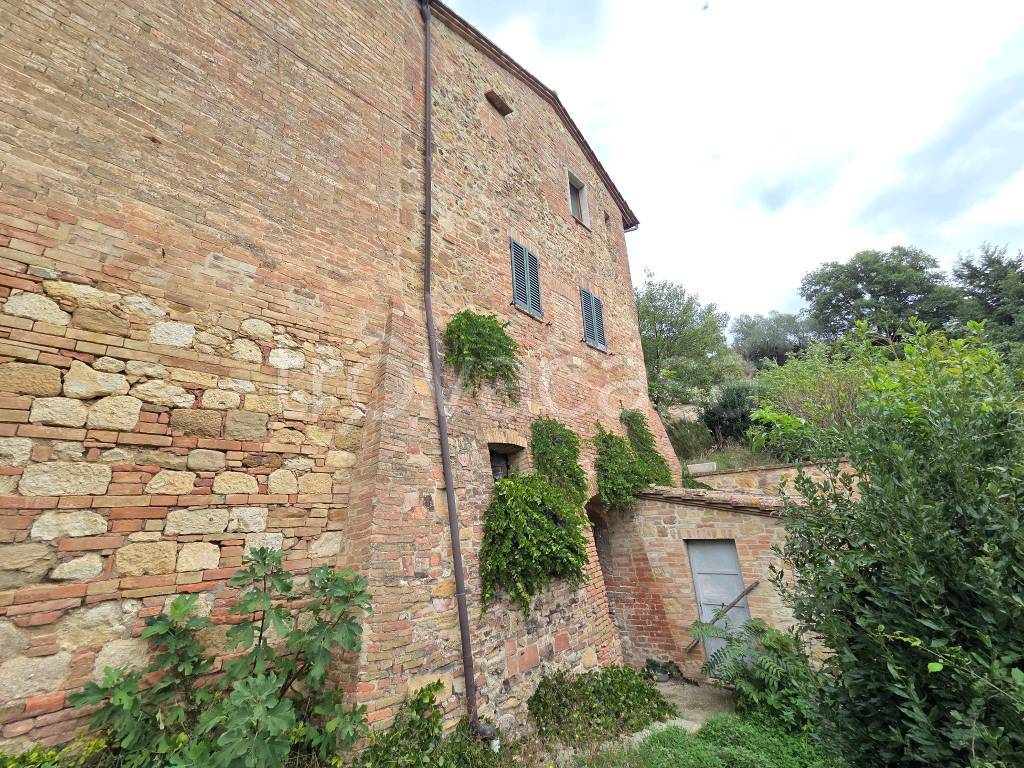 immagine annuncio 3 di 14