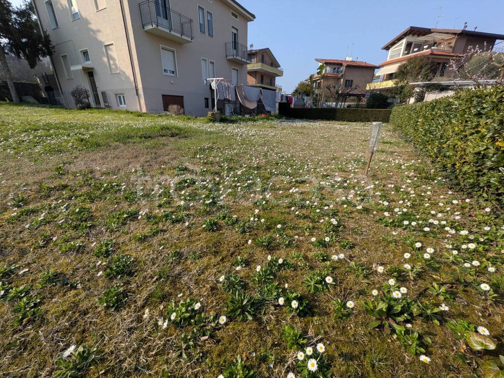 immagine annuncio 5 di 15