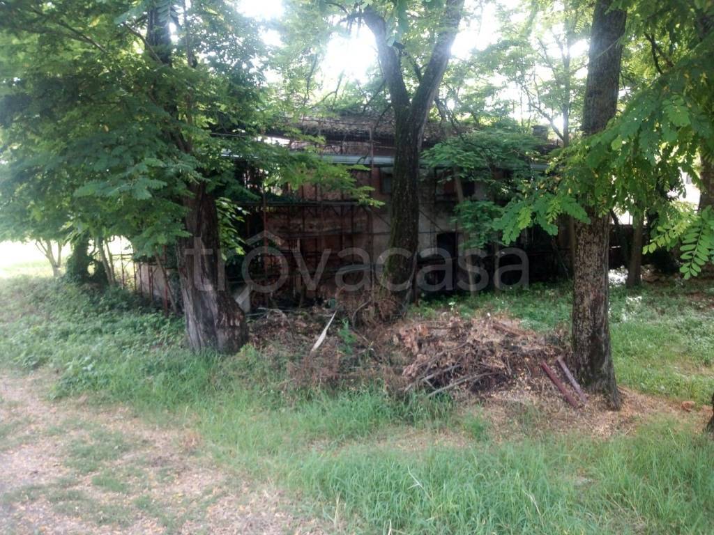 immagine annuncio 1 di 12